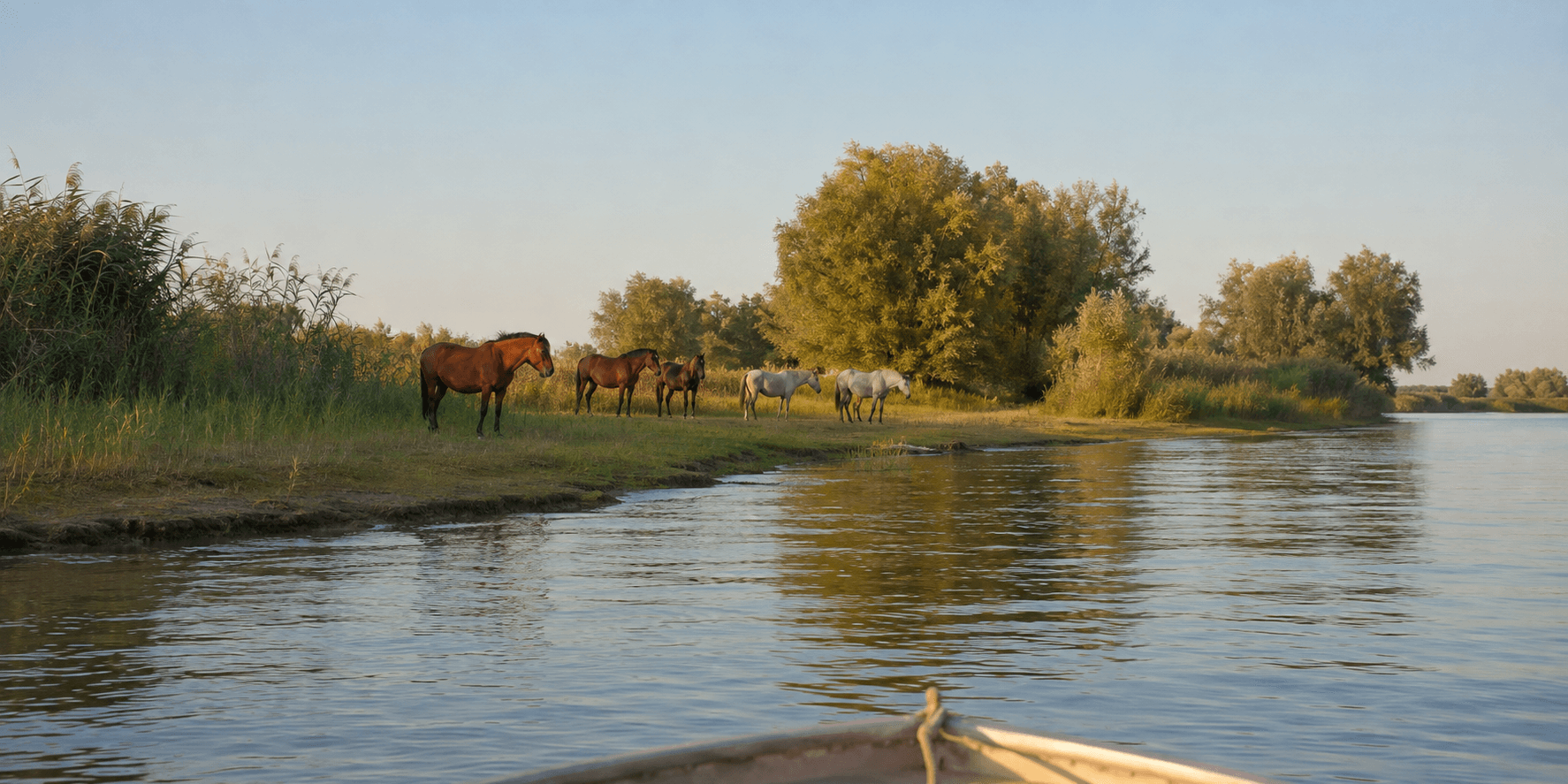 Horses Island