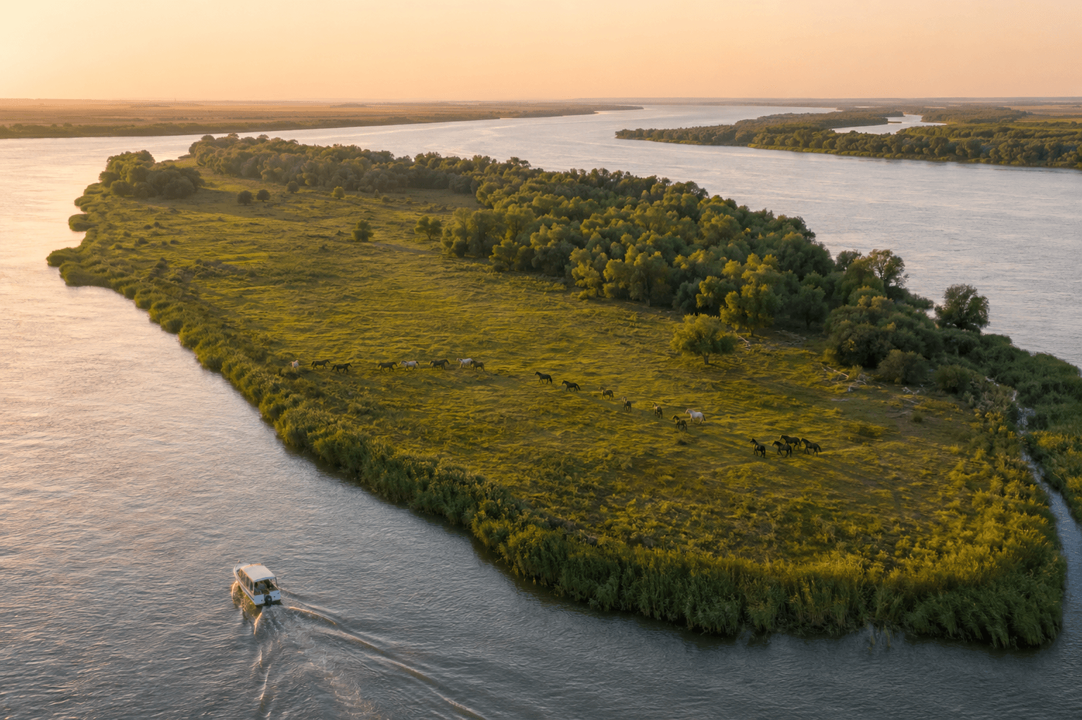 Danube island